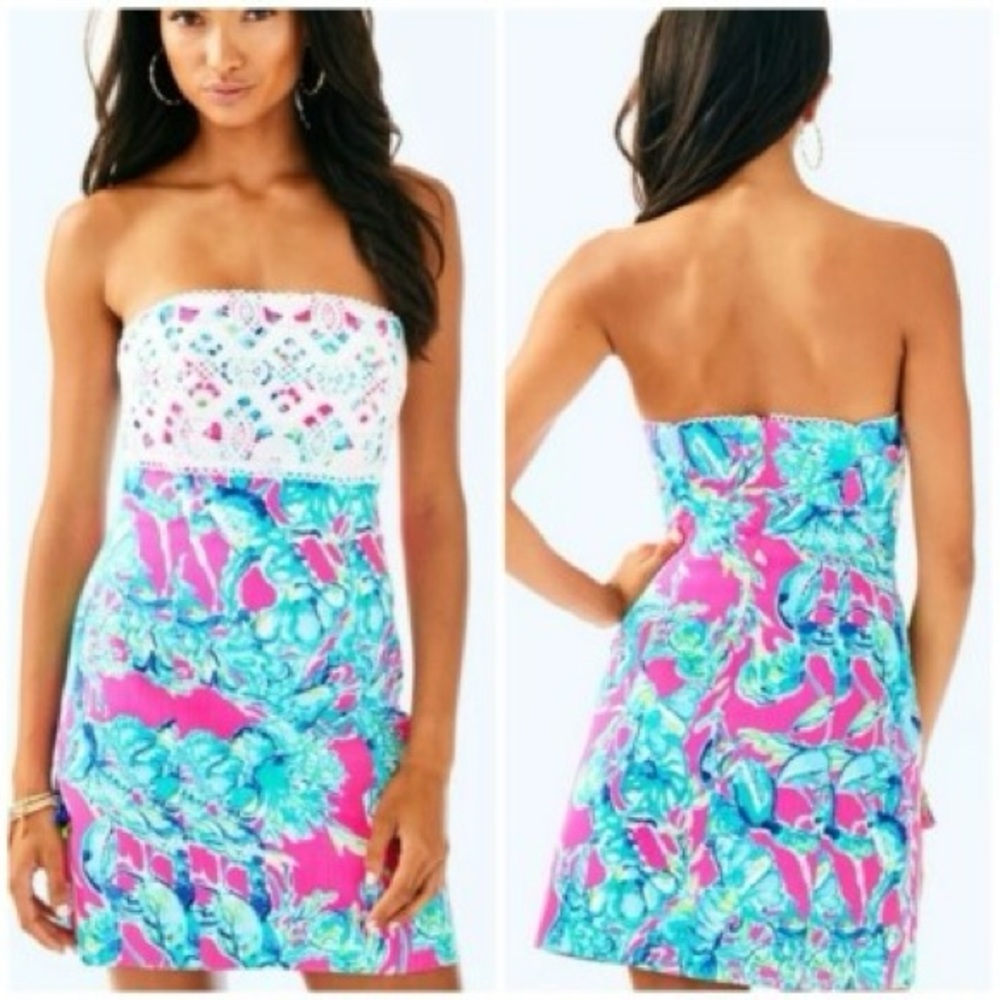 ADORABLE Lilly Pulitzer Brynn dress - Picture 3 of 15